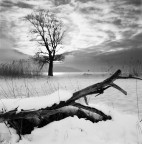 Il solito pomeriggio Il solito pomeriggio