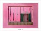 non solo rosa dietro il rosa non solo rosa dietro il rosa