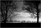 Campagna in inverno Campagna in inverno