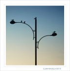 L'appuntamento... L'appuntamento...