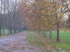 Autunno Autunno