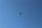 VOLATILI... VOLATILI...