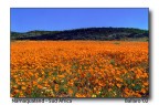 Namaqualand Namaqualand