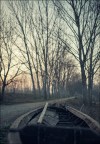 6109 6109