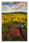 Campagne lucane
