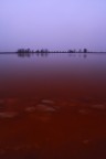 Scattata il 17 dicembre 2012 alle 18:258 alle Saline di Cervia. Non so perch l'acqua fosse di quel colore (non ho fatto postproduzione), ma era molto suggestiva.