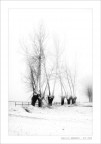 campi innevati