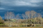 18032013__DSF3248