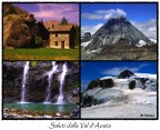 Cartolina