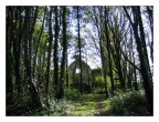Chiesa nel Bosco - Irlanda (Cork) Chiesa nel Bosco - Irlanda (Cork)