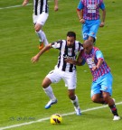 Vicini vicini....... Vicini vicini.......