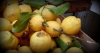 Lemons