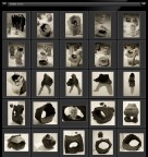 Una mostra "esplosiva" Una mostra "esplosiva"