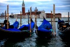 Venezia Venezia