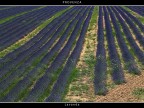 Provenza # 37