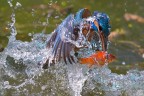 Buona pesca