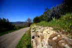 muro di cinta toscano muro di cinta toscano