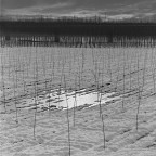 pianura padana pianura padana