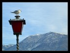 vediamo un po' dove andare... vediamo un po' dove andare...