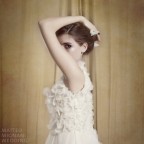 quasi un cigno quasi un cigno