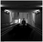 half & half half & half