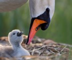Madre e figlio