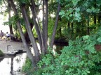 Dintorni di Vicenza..... Una sorgente di acqua limpida e fresca 
 evidentemente proveniente dai  monti zampilla creando un paesaggio...... da sogno: moltissimi i visitatori che cercano i fresco
s














 Dintorni di Vicenza... Sorgenti di acqua limpidissima w freschis-
 sima evidentemente provenienta dai monti zampillano
 tra gli alberi di un boschetto creando una otti meta di passeggiate: Vice cordialit dal vecchissino Carlino due   
  CIAOOOOOOOO a chiunque osservi la mia foto.