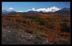 Autunno californiano Autunno californiano
