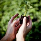 Madre Natura Madre Natura