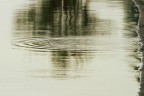 I cerchi nell'acqua I cerchi nell'acqua