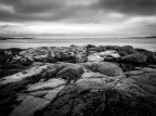 Salve a tutti,
vorrei condividere con voi i miei primi tentativi di B&W. La foto l'ho scatta in Irlanda 2 anni fa.
Naturalmente tutti i consigli e critiche utile alla mia crescita sono ben accetti!
Grazie a tutti.
Tender Prey