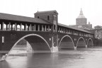 pavia pavia