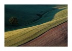 .....linee di libero pensiero..... .....linee di libero pensiero.....