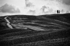 IMG_2706