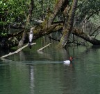 Vita sul fiume Vita sul fiume