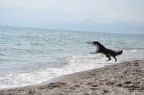 foto scattata con reflex nikon d90 ,impostazione sport