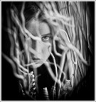 . . il groviglio della vita . . . . . il groviglio della vita . . .