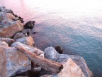 Sfumature Sfumature