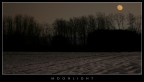 moonlight moonlight