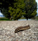 una street molto large una street molto large
