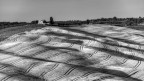 Val d'Orcia in bianco e nero Val d'Orcia in bianco e nero