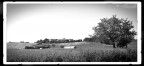 Passeggiando per Rivalta Passeggiando per Rivalta