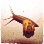 senza fretta senza fretta