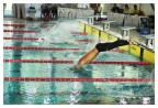 Nuoto pinnato - 3 Nuoto pinnato - 3