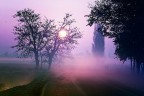 un magico mattino autunnale