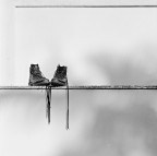 pedante ricerca tonale pedante ricerca tonale