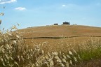 30/6/2013 ore 17:06:15; EOS 7D con EF 24.105 @ 47 mm (equiv. 73.9 mm su pellicola 35 mm), f/13, ISO 200, 1/640