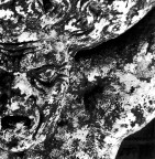 Un incubo... Un incubo...