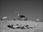 Acrobazie in spiaggia Acrobazie in spiaggia