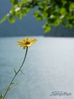 In riva al lago